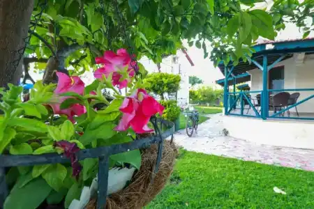 Dedeminn Garden - 33