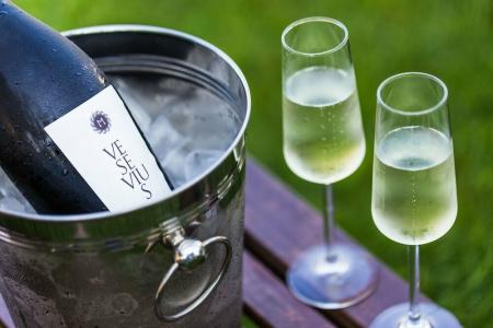 Resort & Winery Bosco De Medici - 42