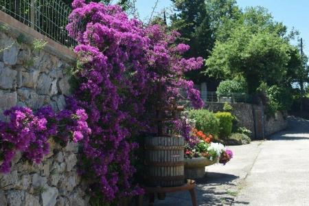 B&B Il Grappolo - 1
