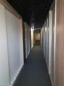 Travelto Petrovskiy Park - 45