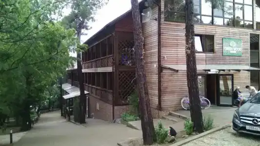 Green Wood - 17