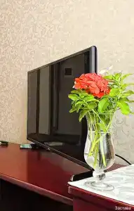 Gostinitsa Zastava - 34