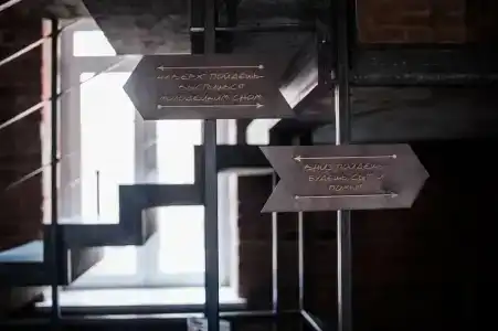 Bronzoviy Kaban Avtorskiy - 17