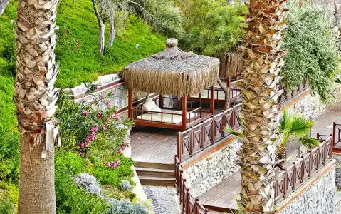 Ladonias Adakule	 - 11