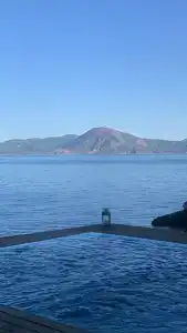 Perdue Adults Only - 29