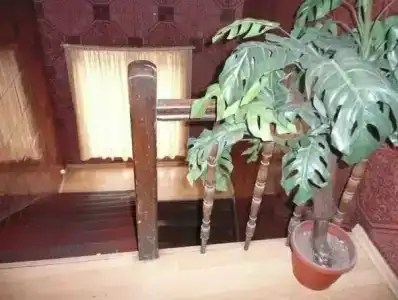 Shans 2 Hostel - 5