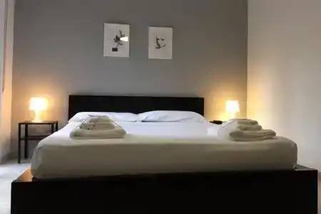 Gatto Bianco Picone 19 - 1