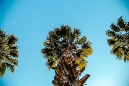 The Hill Glamping Bungalow - 27