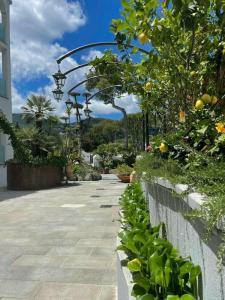 Hermitage Resort & Thermal Spa - 26