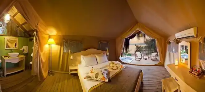 Perdue Adults Only - 11