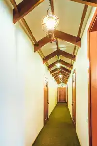 Solov'inaya Roscha - 6