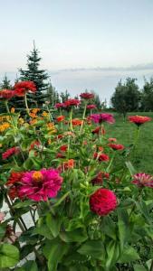 Simiram Resort - 28
