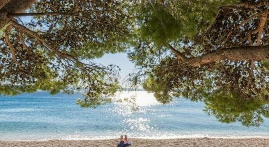 Bluesun Holiday Village Afrodita - 39