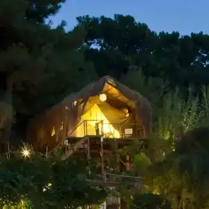 Perdue Adults Only - 1