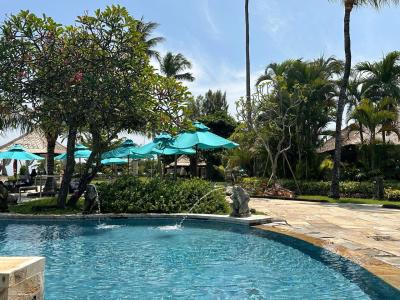 The Patra Bali Resort & Villas - 23