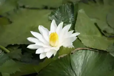 STORY Seychelles - 15