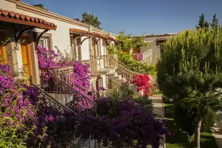 Moonshine & Suites - 29