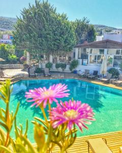 Costa Bodrum City - 25