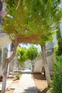 Maison 48 Apart - 19