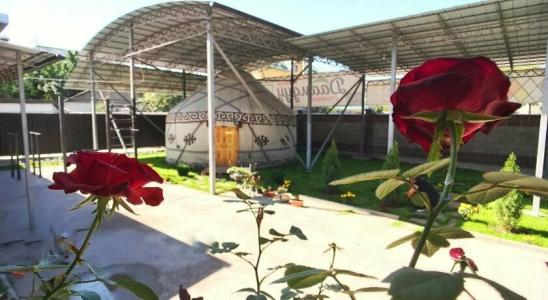 Apple Hostel - 10