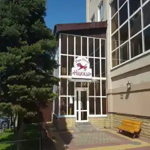 Nadezhda Park-Hotel - 39