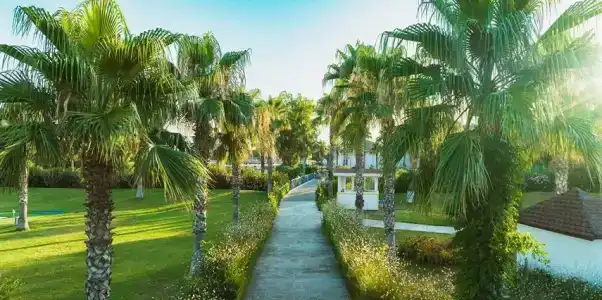 Euphoria Palm Beach Resort - 31