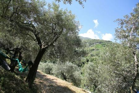 B&B Villa Catiè - 22