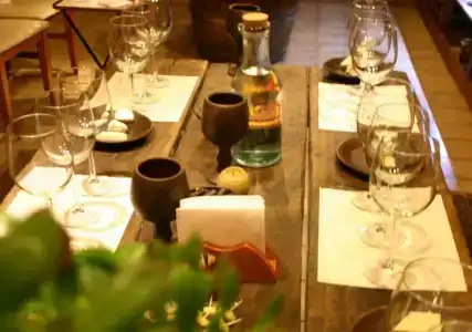 Carménère eco - 13