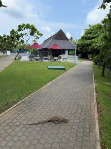 Sheraton Kosgoda Turtle Beach Resort - 17