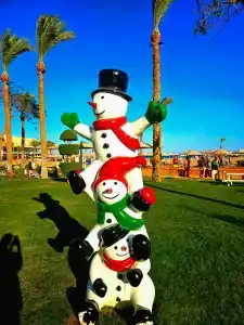 Beach Albatros Resort - 48