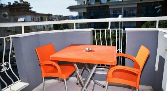 Cleopatra King Apart - 25