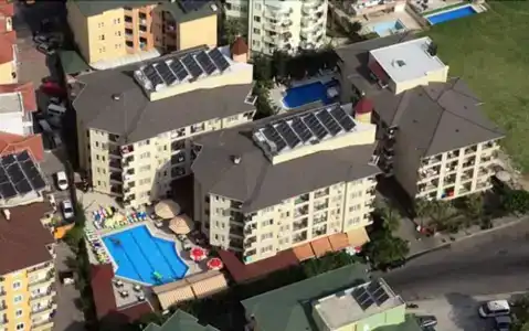 Kleopatra Royal Palm - 1