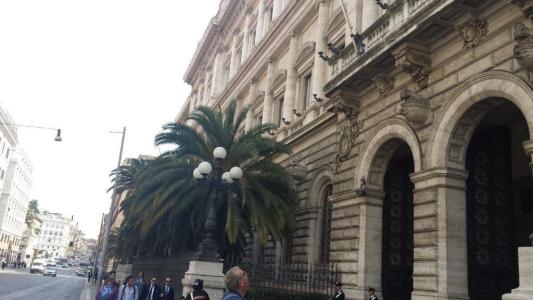 Monti First - 1
