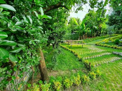 Kadifeli Konak & Bungalow(Kadifeli Konak Boutique) - 33