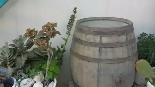  Masseria Villa Marchesi - 29