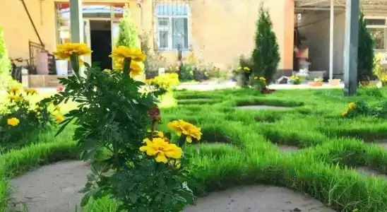 Apple Hostel - 3