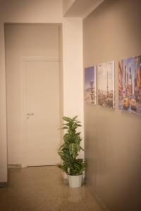 B&B Salerno Center - 19