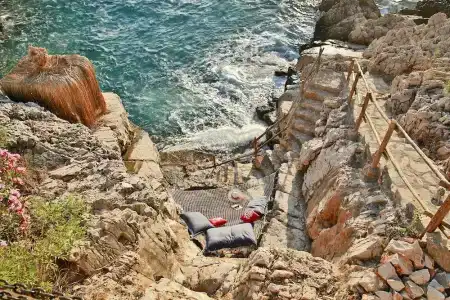 Perdue Adults Only - 2