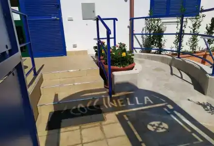 Coccinella - 4