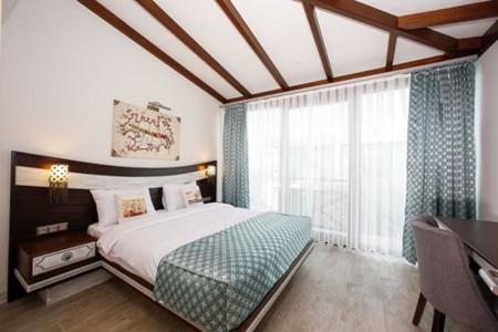 Assos Barbarossa - Special Class - 5