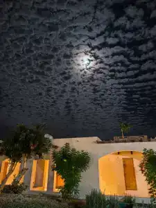 Parrotel Beach Resort - 28