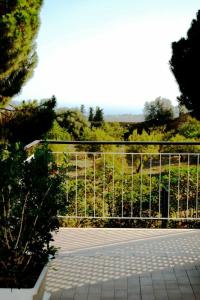 I Segreti della Valle - 2
