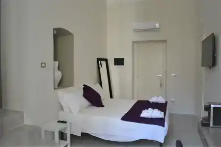 Gatto Bianco Duchessa - 34