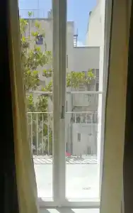 Gatto Bianco Duchessa - 6