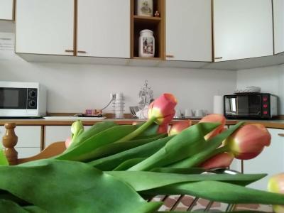 B&B "Al Calopinace" - 4