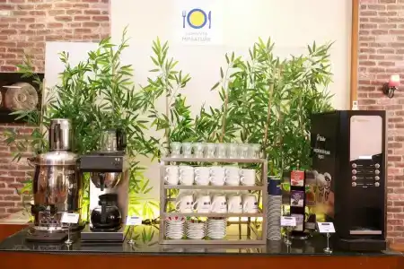 Anemon Kent Ege Otel - 33