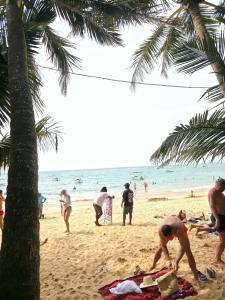 Cool Beach - 27