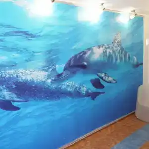 Polo 74 - byvshaya gostinitsa Astra - 12