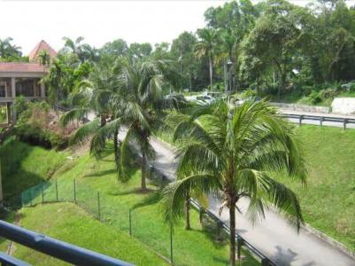 Paradise Lagoon Apartment - 5