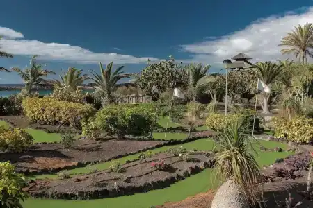 Sheraton Fuerteventura Beach, Golf & Spa Resort - 10